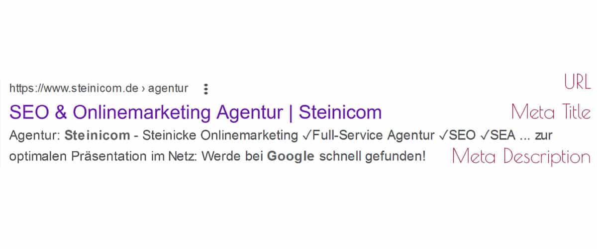 Steinicom - Steinicke Onlinemarketing - Blog Meta Tags